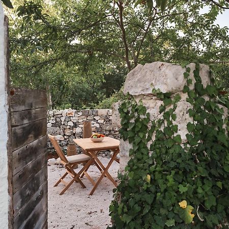 Trulli Del Bosco Bed and Breakfast Αλμπερομπέλο Εξωτερικό φωτογραφία