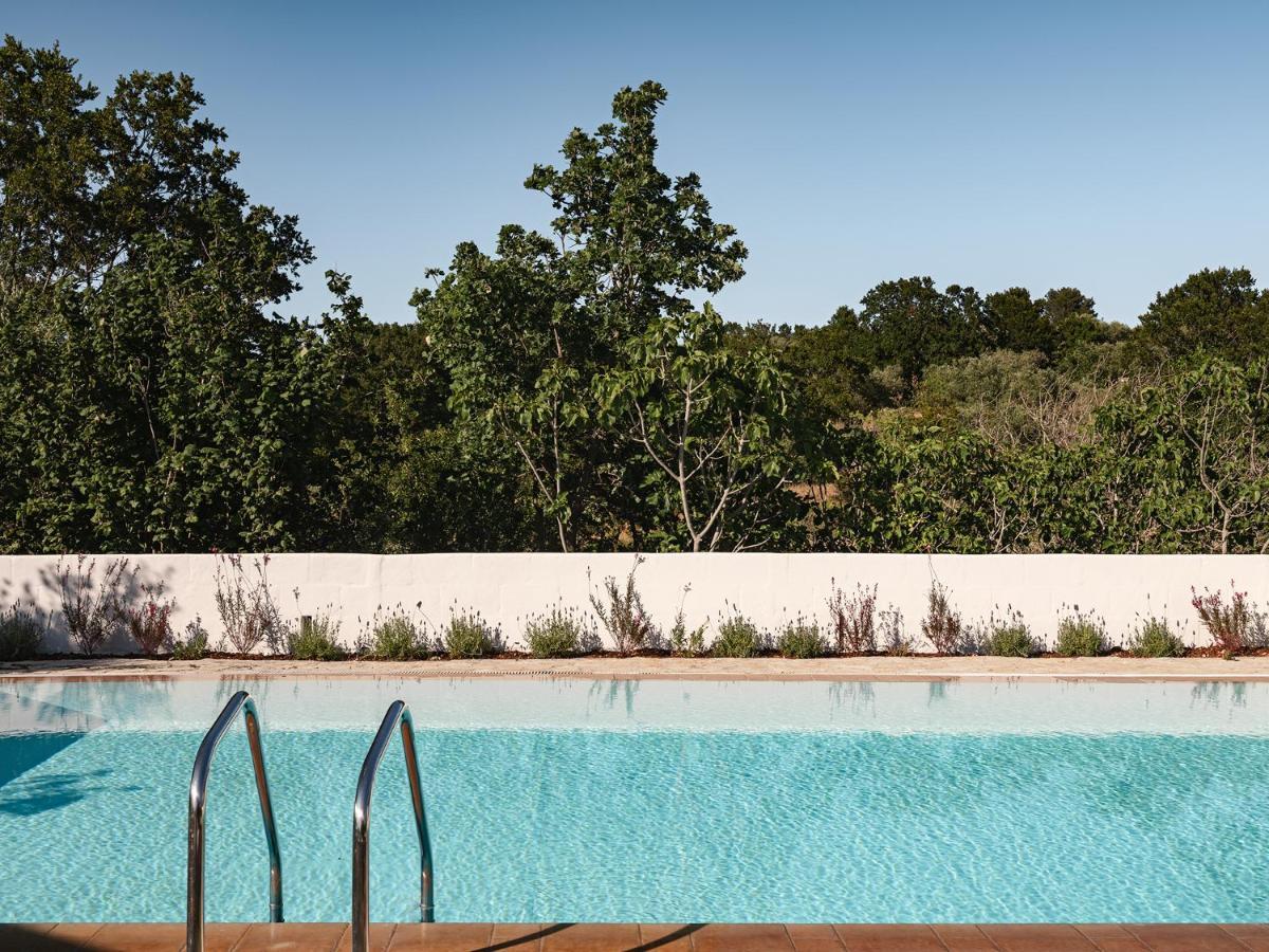 Trulli Del Bosco Bed and Breakfast Αλμπερομπέλο Εξωτερικό φωτογραφία