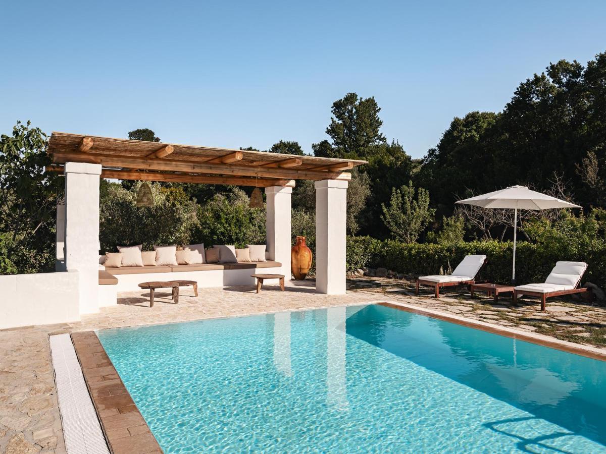 Trulli Del Bosco Bed and Breakfast Αλμπερομπέλο Εξωτερικό φωτογραφία