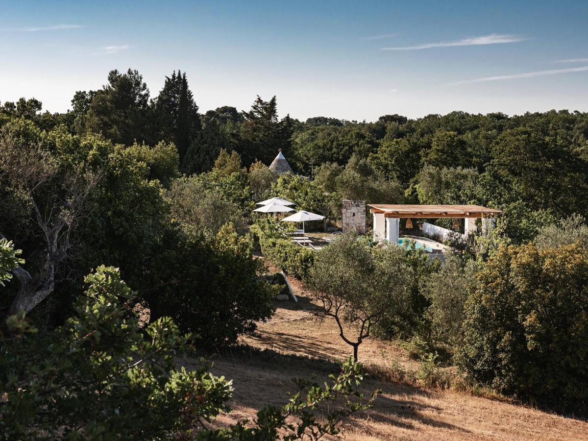 Trulli Del Bosco Bed and Breakfast Αλμπερομπέλο Εξωτερικό φωτογραφία