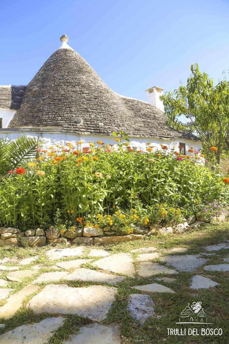 Trulli Del Bosco Bed and Breakfast Αλμπερομπέλο Εξωτερικό φωτογραφία